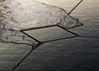 Сифон для душевого трапа Tece Drainpoint S DN50 3601400 низкий горизонтальный без декоративной решетки — фото 2, Трапы для душа