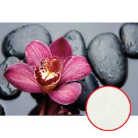 Фреска Ortograf Цветы 30962 Фактура флок FLK Флизелин (4*2,7) Розовый/Черный, Цветы — фото 1, Фрески