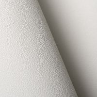 Обои Andrea Rossi Spectrum Pro 54383-7 Винил на флизелине (1,06*10) Белый/Бежевый, Однотонные — фото 2, Обои для стен