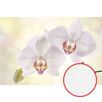 Фреска Ortograf Цветы 3619 Фактура бархат FX Флизелин (3*2) Белый/Желтый/Розовый, Цветы — фото 1, Фрески