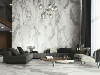 Керамогранит Baldocer Invictus Natural 80х160 см — фото 3, Керамогранит