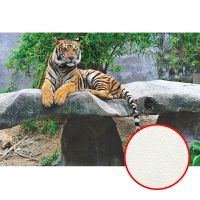 Товар: Фреска Ortograf Животные 3085 Фактура флок FLK Флизелин (2,7*1,8) Разноцветный, Животные/Пейзаж - фото 1 Фреска Ortograf Животные 3085 Фактура флок FLK Флизелин (2,7*1,8) Разноцветный, Животные/Пейзаж — фото 1, Фрески