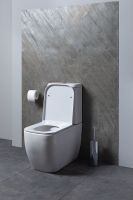 Товар: Унитаз компакт Allen Brau Infinity 4.21001.20 Белый без бачка и сиденья - фото 20 Унитаз компакт Allen Brau Infinity 4.21001.20 Белый без бачка и сиденья — фото 20, Напольные унитазы