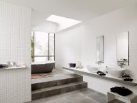 Товар: Керамическая плитка Porcelanosa Oxo Marmi China 100292132 настенная 33,3х100 см - фото 2 Керамическая плитка Porcelanosa Oxo Marmi China 100292132 настенная 33,3х100 см — фото 2, Керамическая плитка