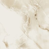 Керамогранит Absolut Gres Silk Onix AB 1007G 60x60 см — фото 1, Керамогранит