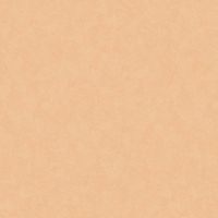 Обои LOYMINA Shade SD3 003 Винил на флизелине (1*10,05) Оранжевый, Штукатурка — фото 1, Обои для стен