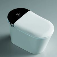 Унитаз биде Timo TE-741B с сиденьем Микролифт — фото 2, Умные унитазы