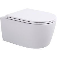 Унитаз Sintesi Dante SIN-TS-DNT-191 подвесной Белый с сиденьем Микролифт — фото 1, Подвесные унитазы