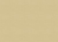 Обои Zambaiti Parati Trussardi VII 18947 Винил на флизелине (0,7*10,05) Бежевый/Золото, Рогожка — фото 2, Обои для стен