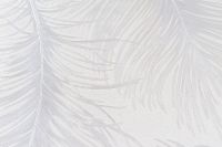 Обои Артекс Dieter Lange Avenue 10668-01 Винил на флизелине (1,06*10,05) Белый, Перья — фото 3, Обои для стен