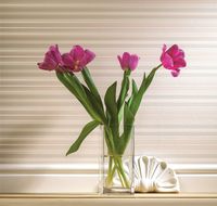 Обои Milassa Joli Joli6 012 Флизелин (1*10,05) Коричневый, Полоса — фото 2, Обои для стен