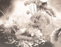 Фреска Ortograf Grafika Natura 31541 Фактура бархат FX Флизелин (3,5*2,7) Бежевый, Цветы/Абстракция арт-31541 (бархат FX) — фото 2, Фрески