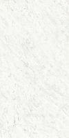 Керамогранит Ariostea Marmi Classici Bianco Carrara Luc Shiny PL612555 60х120 см — фото 1, Керамогранит