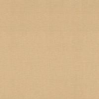 Обои RASCH Garden 531367 Винил на флизелине (0,53*10,05) Бежевый/Оранжевый, Однотонные/Рогожка — фото 1, Обои для стен