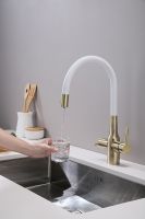 Смеситель для кухни Paulmark Salix Sa213419-BRw Бронза Белый — фото 6, Смесители для кухни