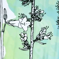 Штора для ванны WasserKRAFT Dill 200х200 Полевые цветы арт-SC-39103 — фото 3, Шторы для ванной