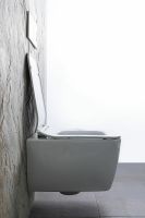 Унитаз Allen Brau Liberty 2 4.33007.20 подвесной Белый без сиденья — фото 47, Подвесные унитазы