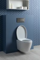 Товар: Унитаз Aquanet ZV-1 303977 подвесной с сиденьем Микролифт - фото 27 Унитаз Aquanet ZV-1 303977 подвесной с сиденьем Микролифт — фото 27, Подвесные унитазы