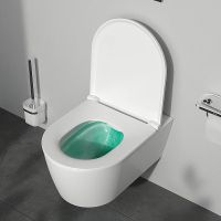 Комплект унитаза с инсталляцией AM.PM Func FlashClean IS90138.8F1701 с сиденьем Микролифт и Черной матовой клавишей смыва — фото 16, Комплекты унитаз + инсталляция