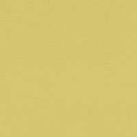 Обои RASCH Kalahari 449839 Винил на флизелине (0,53*10,05) Зеленый/Желтый, Однотонные — фото 1, Обои для стен