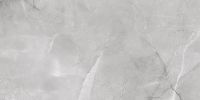 Керамогранит Absolut Gres Armani Silver AB 1142G 60x120 см — фото 1, Керамогранит