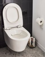 Унитаз Jacob Delafon Bastille EDAB102-00 подвесной без сиденья — фото 15, Подвесные унитазы