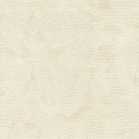 Обои Zambaiti Parati Lamborghini II 90029 Винил на флизелине (0,7*10,05) Бежевый, Геометрия — фото 1, Обои для стен