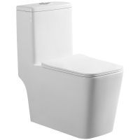 Унитаз моноблок Royce Bronx RCT-152002WH с сиденьем Микролифт — фото 2, Унитазы