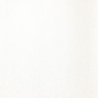 Обои Marburg Dune 32501 Винил на флизелине (0,53*10,05) Белый, Штукатурка — фото 1, Обои для стен