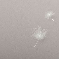 Обои Andrea Rossi Gavi 54368-4 Винил на флизелине (1,06*10) Коричневый, Листья/Цветы — фото 2, Обои для стен