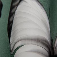 Обои Andrea Rossi Cheradi 54401-5 Винил на флизелине (1,06*10,05) Зеленый, Бабочки — фото 2, Обои для стен