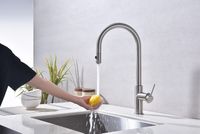 Смеситель для кухни Paulmark Galant Ga213077-BS Брашированная сталь — фото 7, Смесители для кухни