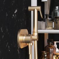 Гигиенический душ со смесителем Damixa RedBlu Option 214000000 Бронза — фото 5, Душевое оборудование. Душевая программа