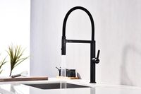 Смеситель для кухни Paulmark Leader Le214101-401 Антрацит — фото 13, Смесители для кухни