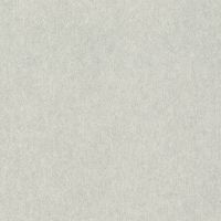 Обои RASCH Raymond 957310 Винил на флизелине (1,06*10,05) Серый, Штукатурка — фото 1, Обои для стен