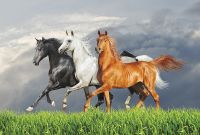 Товар: Фреска Ortograf Животные 3723 Фактура бархат FX Флизелин (4*2,7) Разноцветный, Животные арт-3723 (бархат FX) - фото 2 Фреска Ortograf Животные 3723 Фактура бархат FX Флизелин (4*2,7) Разноцветный, Животные арт-3723 (бархат FX) — фото 2, Фрески