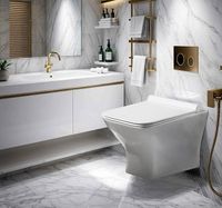 Унитаз Ceruttispa Ellero Aria PP CT10481 подвесной с сиденьем Микролифт — фото 3, Подвесные унитазы