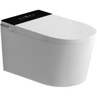 Комплект унитаза биде с инсталляцией SantiLine SL-5037 подвесной с сиденьем Микролифт — фото 1, Умные унитазы