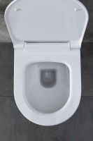 Товар: Унитаз Allen Brau Priority 4.31001.20 подвесной без сиденья - фото 36 Унитаз Allen Brau Priority 4.31001.20 подвесной без сиденья — фото 36, Подвесные унитазы