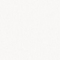 Обои Zambaiti Parati Savana 77523 Винил на флизелине (0,53*10,05) Белый, Рогожка — фото 1, Обои для стен