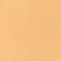 Обои Bernardo Bartalucci Legend 5068-61 Флизелин (1,06*10) Оранжевый, Однотонные — фото 1, Обои для стен