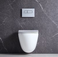 Комплект унитаза BelBagno Amanda BB051CHR+BB051SC с сиденьем Микролифт и инсталляцией WeltWasser WW Marberg 507 10000005949+10000005952 с клавишей смыва Хром глянцевый — фото 15, Комплекты унитаз + инсталляция