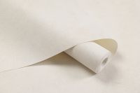 Обои Артекс New Look 6 10982-02 Винил на флизелине (1,06*10,05) Серый, Штукатурка/Однотонный — фото 2, Обои для стен