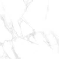 Керамогранит LCM Dallas Silver полированный 6060DLL15P 60х60 см — фото 1, Керамогранит