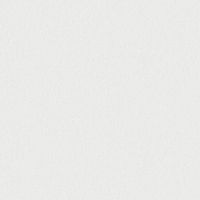 Обои Andrea Grifoni Palazzo Peterhof 7008-1 Флизелин (1,06*10,05) Бежевый, Однотонные — фото 1, Обои для стен