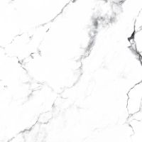 Товар: Керамогранит Arcadia Ceramica Borghini silver CR4006-A 60х60 см - фото 15 Керамогранит Arcadia Ceramica Borghini silver CR4006-A 60х60 см — фото 15, Керамогранит