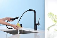 Смеситель для кухни Paulmark Neo Ne214419-401 Антрацит — фото 14, Смесители для кухни