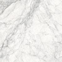 Керамогранит LCM Ajax Nordik матовый карвинг 8080NOD15M 80х80 см — фото 9, Керамогранит