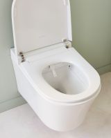 Товар: Комплект унитаза биде с инсталляцией Jacob Delafon Seine E34360-00 с сиденьем Микролифт и Белой глянцевой клавишей смыва - фото 22 Комплект унитаза биде с инсталляцией Jacob Delafon Seine E34360-00 с сиденьем Микролифт и Белой глянцевой клавишей смыва — фото 22, Умные унитазы