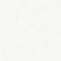 Обои Bernardo Bartalucci Carnazza 5060-1 Флизелин (1,06*10) Белый, Штукатурка — фото 1, Обои для стен